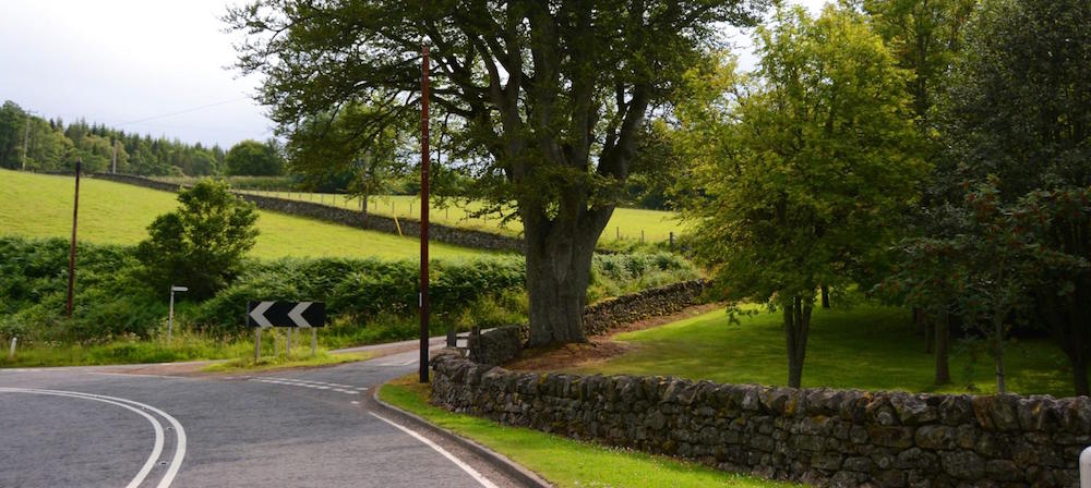 A country road with another smaller road off to the side.